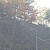 Reti di protezione metalliche