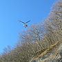 Materialtransport mit Hilfe von Hubschraubern